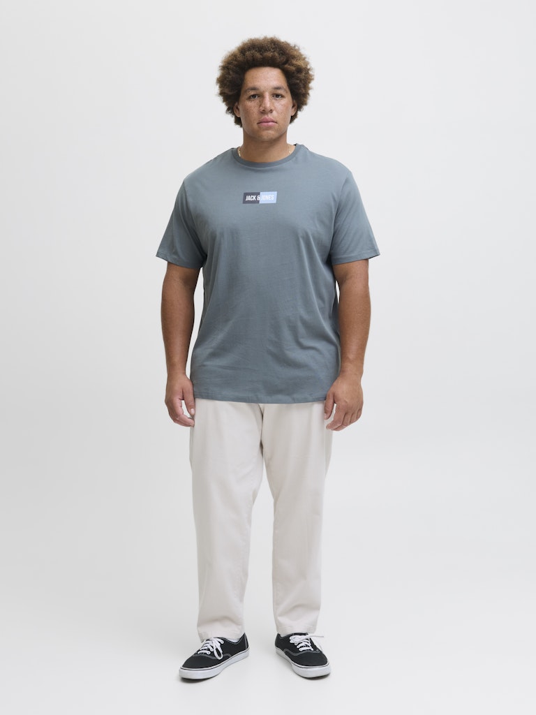 JACK&JONES PLUS - T shirt - Uomo | JJPAN TEE SS CREW NECK PLS