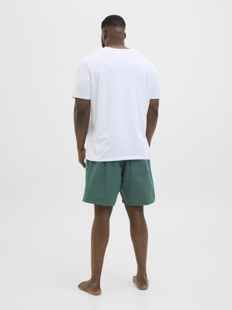 Jack&Jones - Costume - Uomo | jpstmaui jjswim solid akm sn pls