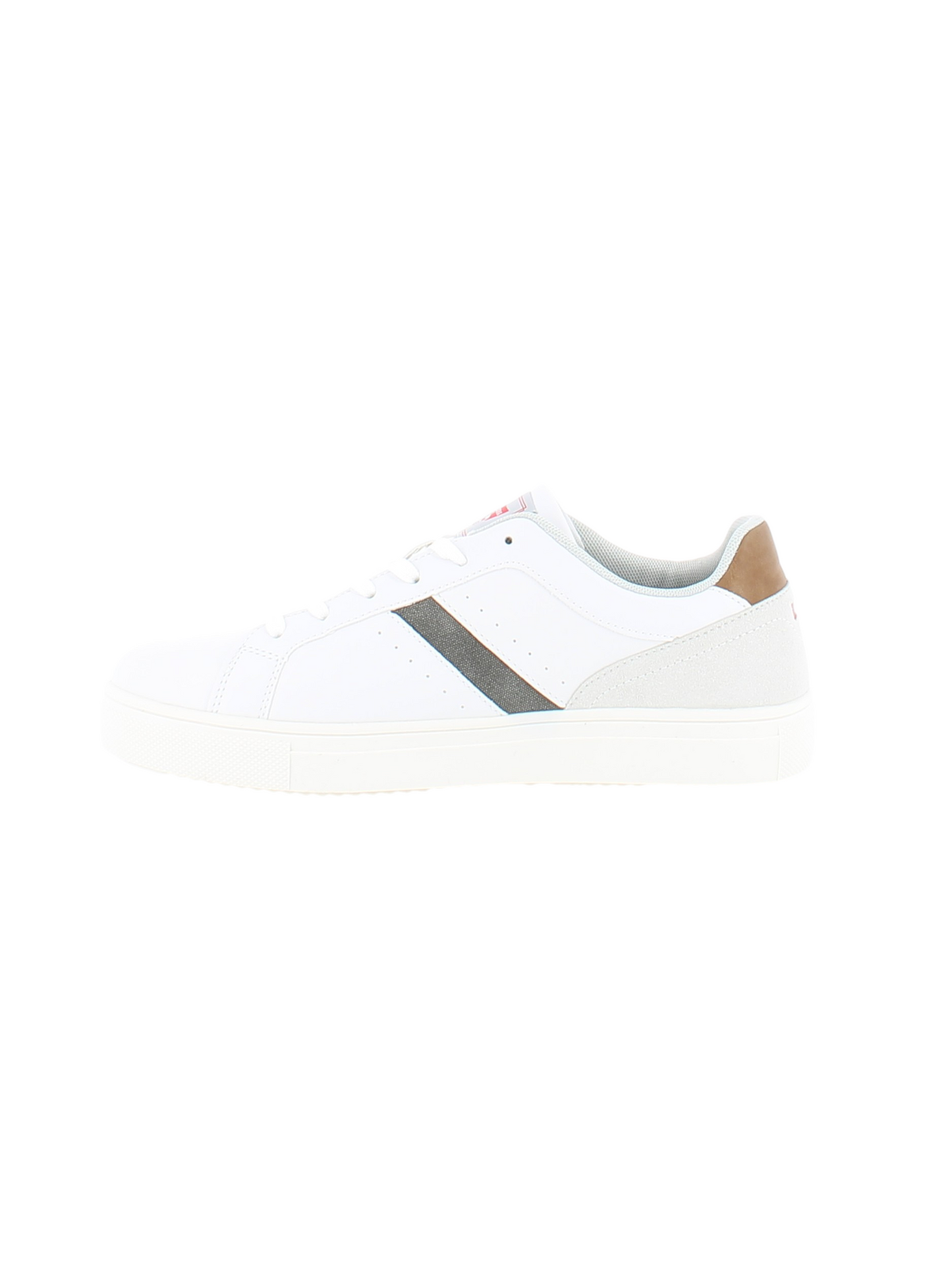 Carrera - Sneakers Sparrow