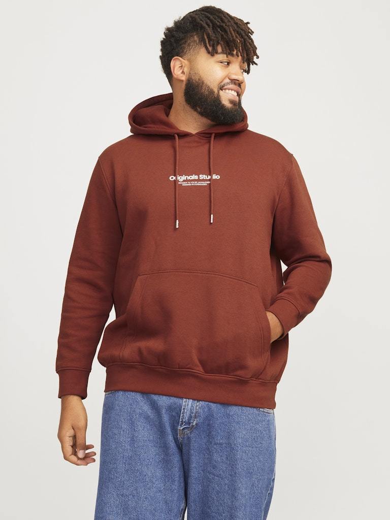 FELPA - JACK&JONES JORVESTERBRO SWEAT HOOD NOOS PLS