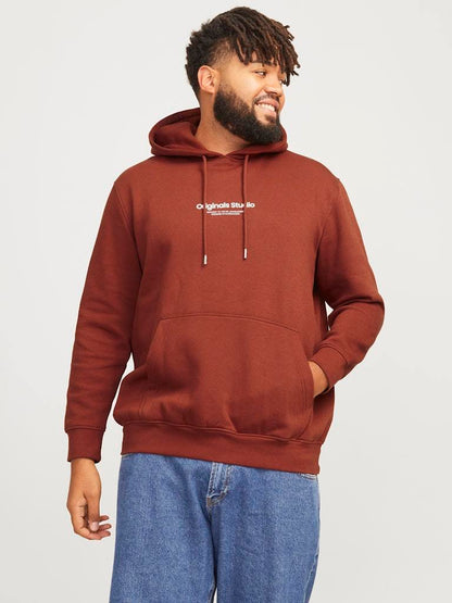 FELPA - JACK&JONES JORVESTERBRO SWEAT HOOD NOOS PLS