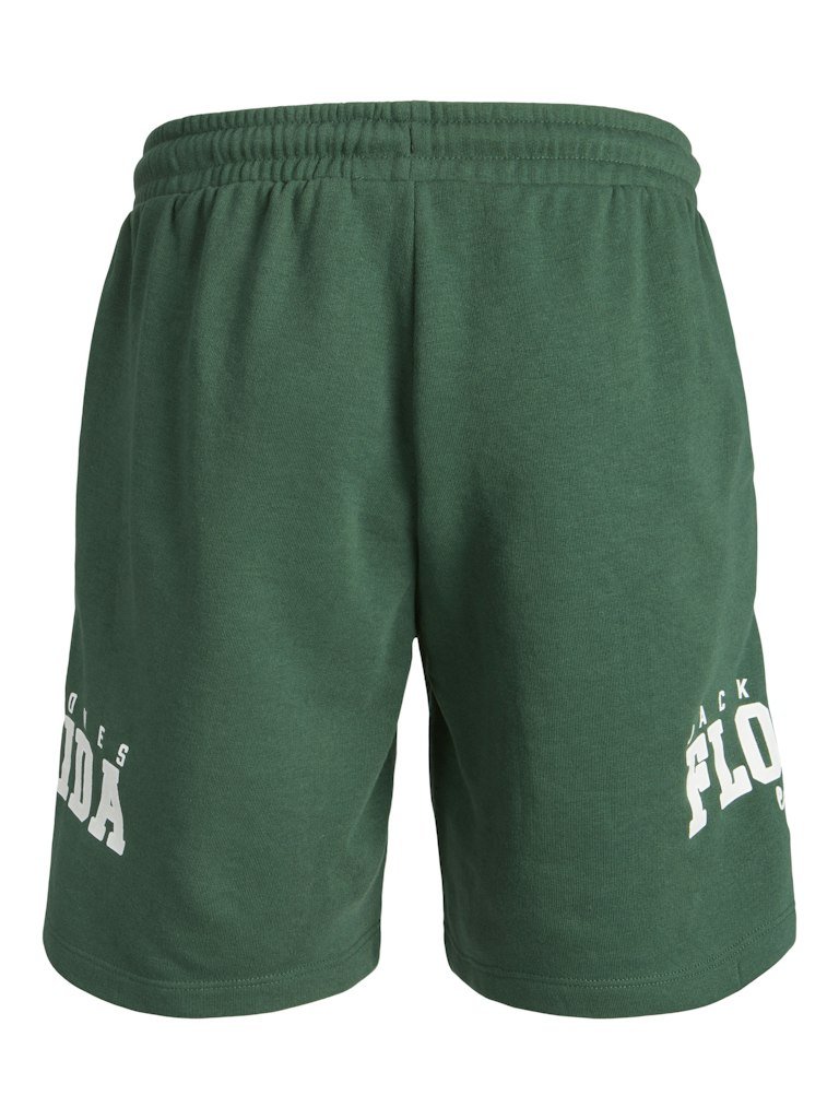 Shorts - Jjjunior Jpstcory Sweat Shorts Imp Jnr