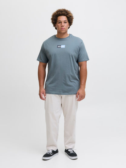 JACK&JONES PLUS - T shirt - Uomo | JJPAN TEE SS CREW NECK PLS
