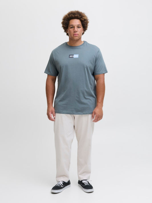 JACK&JONES PLUS - T shirt - Uomo | JJPAN TEE SS CREW NECK PLS