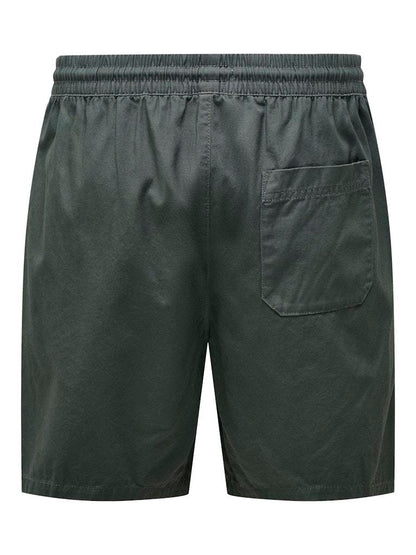 SHORTS - ONLY & SONS ONSTEL LIFE 0119 SHORTS NOOS