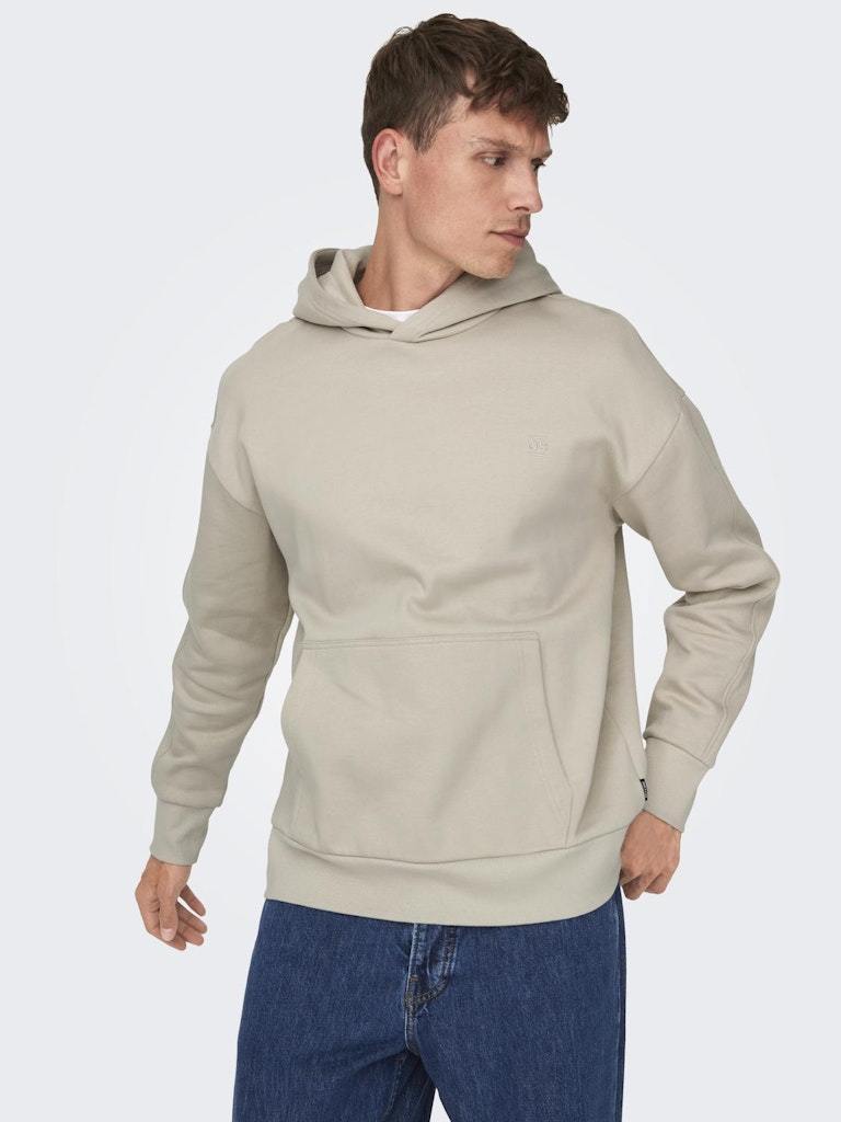 FELPA - ONLY & SONS ONSDAN LIFE RLX HEAVY SWEAT HOODIE NOOS