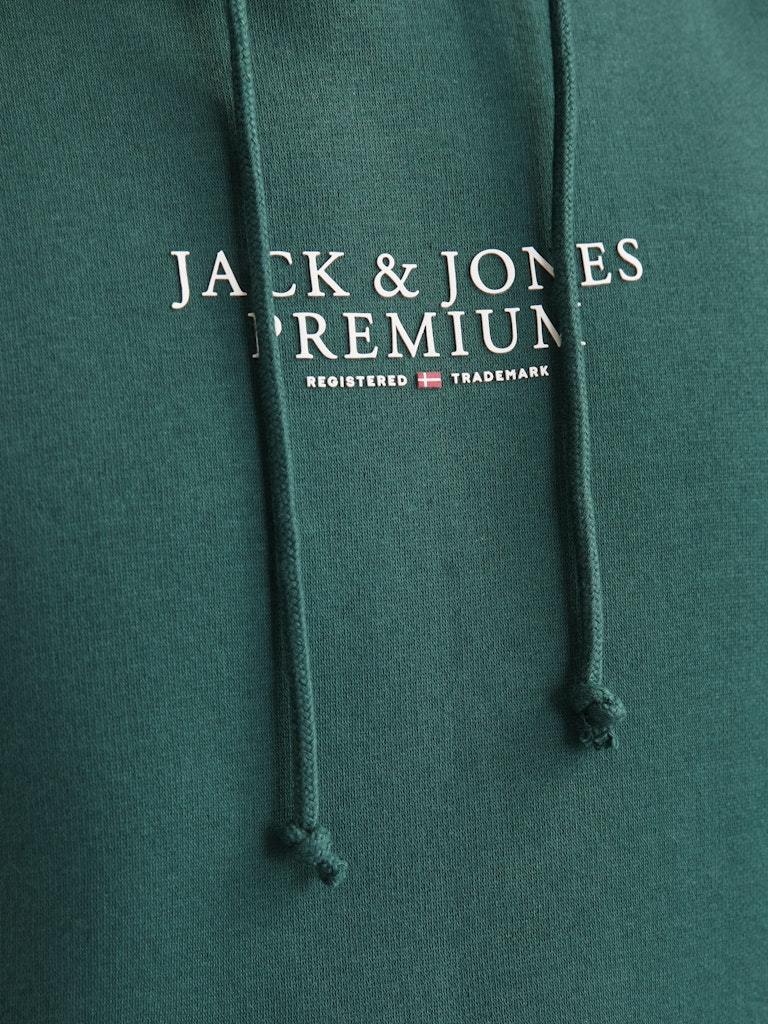 FELPA - JACK&JONES JPRBLUARCHIE SWEAT HOOD NOOS