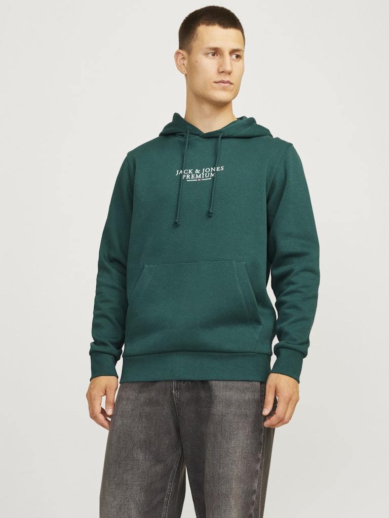 FELPA - JACK&JONES JPRBLUARCHIE SWEAT HOOD NOOS